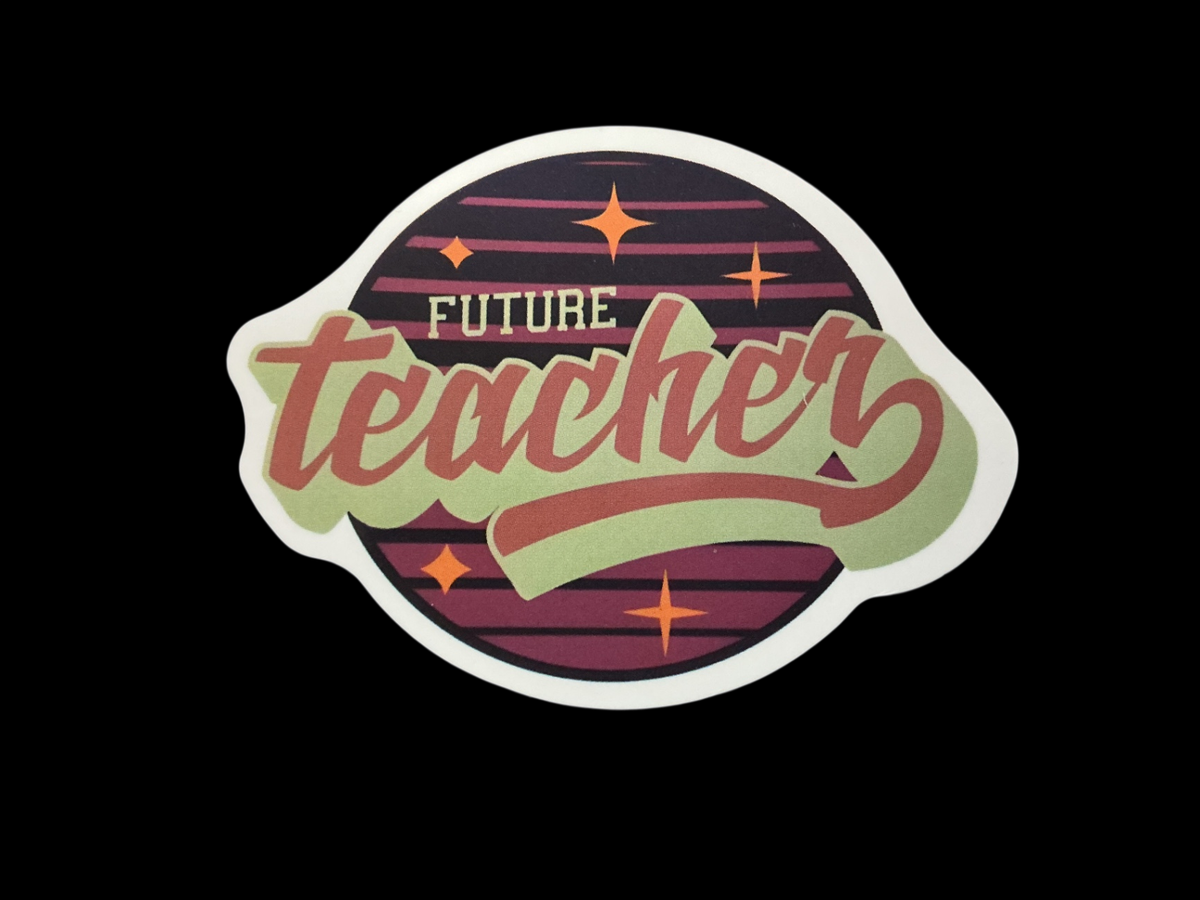 Pink Vinyl Sticker Pack