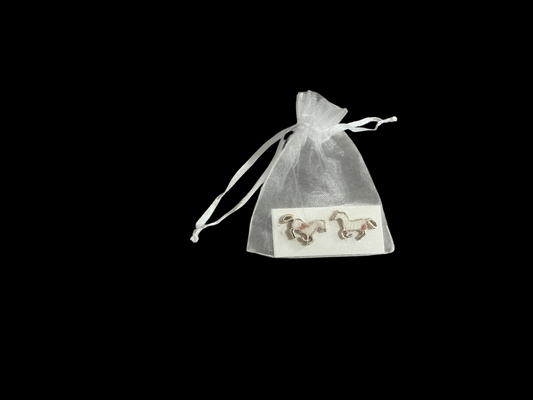 Earrings Silver
