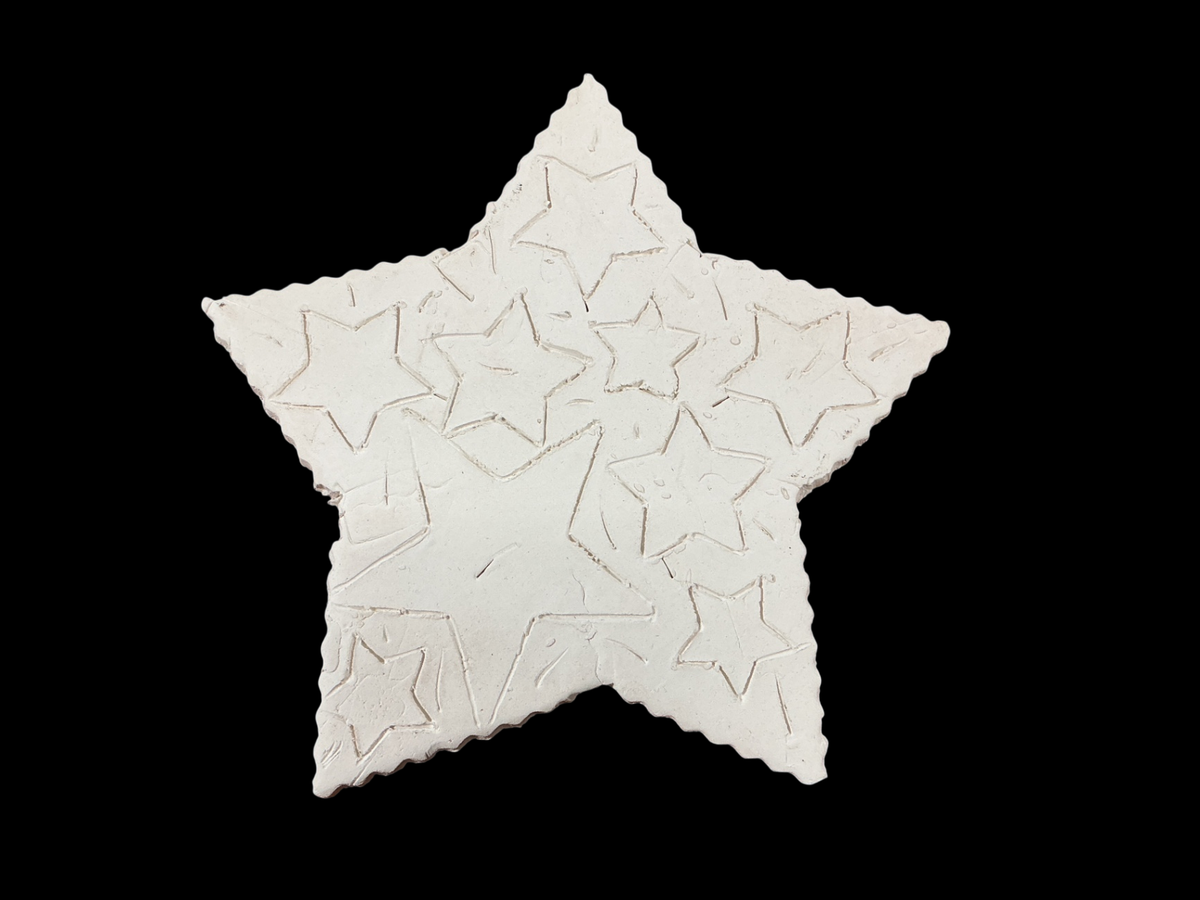 White Ceramic Star Art